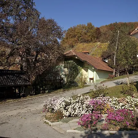 Nyaraló Vineyard Gole Šentrupert