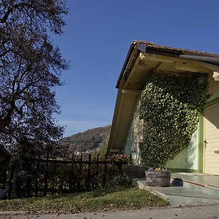 Vineyard Gole Sentrupert (Dolenjska)